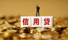 东莞私人哪有个人借贷-东莞私人小额贷款公司-东莞私人私借空放免费上门
