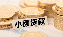 东莞私人身份证贷款平台-东莞私人私人借贷不查征信-东莞私人空放借钱