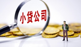 东莞私人民间大额借贷-东莞私人私借空放-东莞私人私人上门借贷